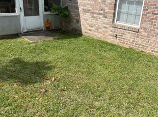 Tom B.'s lawn service service result