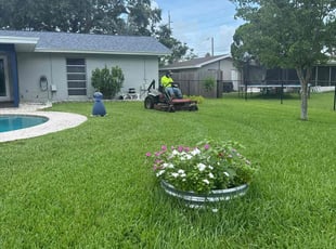 Rana M.'s turf care service result