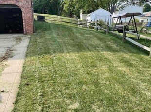 Richard C.'s lawn care service result