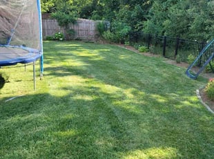Julene M.'s lawn care service result