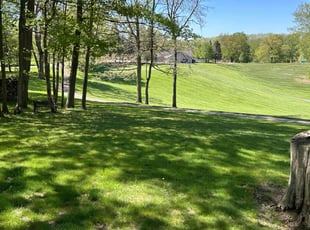 Tyler G.'s turf care service result