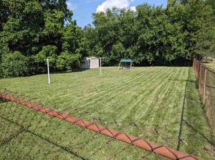 Dan F.'s lawn care service result