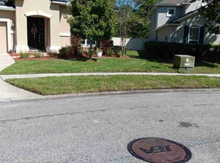 Damaris M.'s grass cutting service result