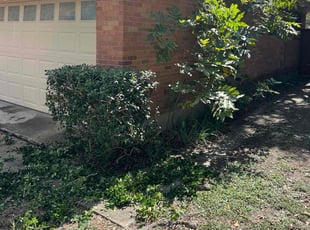 Bhupendra P.'s Bush Trimming service result