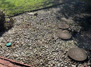 Suzanna R.'s Weed Pulling service result