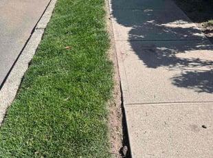 Linda R.'s lawn service service result