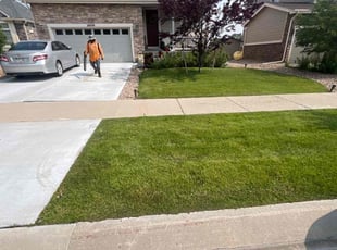 Jaz M.'s lawn maintenance service result