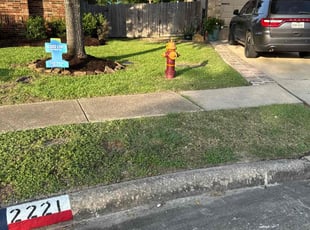 Christopher M.'s lawn maintenance service result