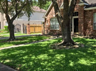 Anthony F.'s turf care service result