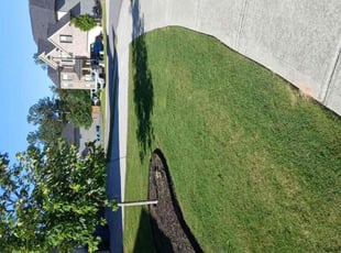 Ebony G.'s turf care service result