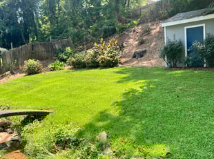 Gilbert B.'s gardening service service result