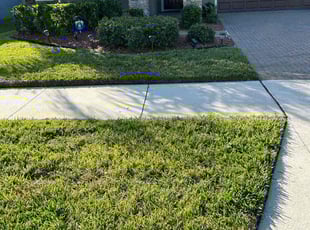 Christina R.'s Bush Trimming service result