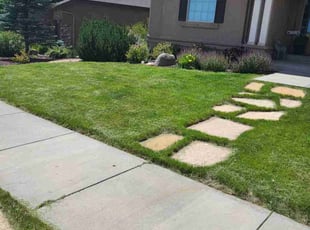 Mary P.'s turf maintenance service result