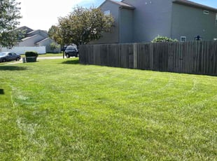Mike Z.'s lawn maintenance service result