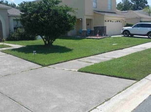 Eric K.'s grass cutting service result
