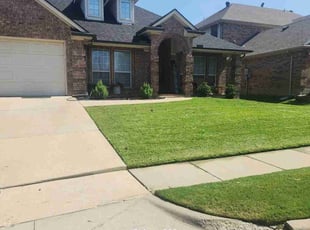 Nicole N.'s lawn maintenance service result