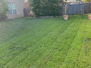 Andrea R.'s landscaping services service result
