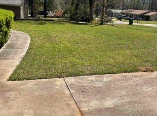 Kelly S.'s lawn care service result