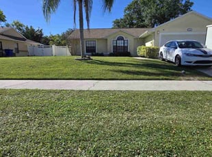 Edwin M.'s lawn care service result