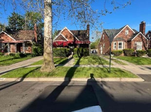 Chad C.'s grass maintenance service result