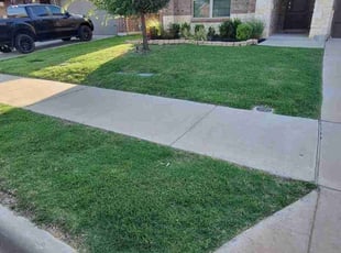 Meghan S.'s lawn care service result