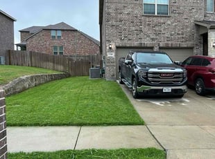 Darren F.'s turf care service result