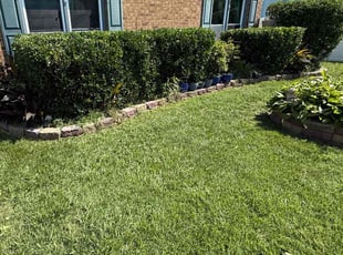 Christine K.'s Bush Trimming service result