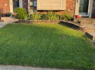 Kerry L.'s turf maintenance service result