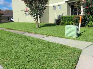 Shawn M.'s lawn maintenance service result