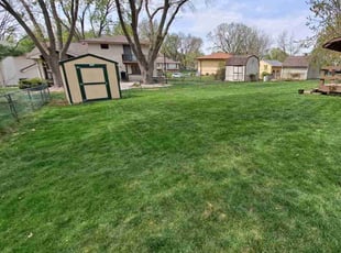Avinash N.'s lawn care services service result
