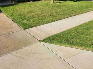 Diane D.'s lawn care services service result