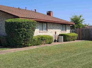 Summer D.'s Bush Trimming service result