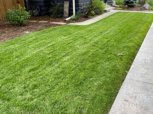 Sara W.'s grass maintenance service result