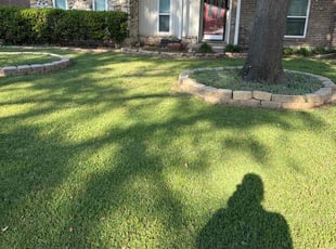 Robin C.'s grass cutting service result