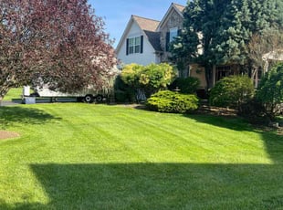 Marcel B.'s turf care service result