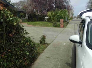 Princess K.'s Bush Trimming service result