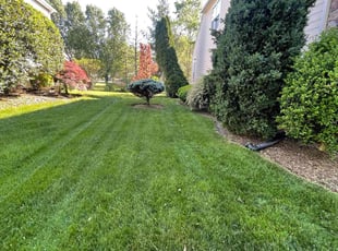 Ron R.'s turf care service result