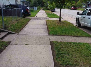 Derla M.'s turf care service result