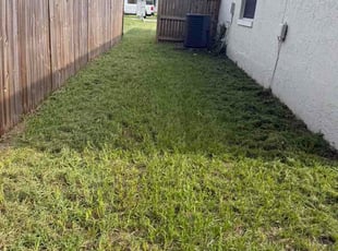 Holly W.'s turf maintenance service result