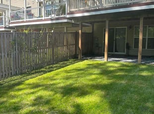 Vanessa f.'s turf care service result