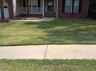 Rob D.'s lawn maintenance service result