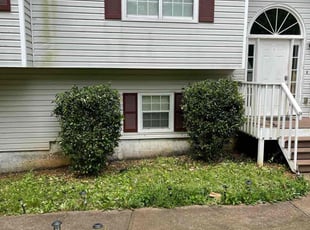 Michelle K.'s Bush Trimming service result
