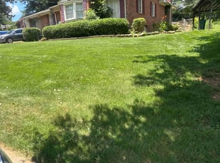 Kate M.'s lawn care services service result
