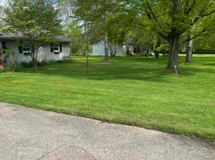 Andrew K.'s lawn service service result
