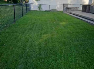 Victoria A.'s lawn care service result