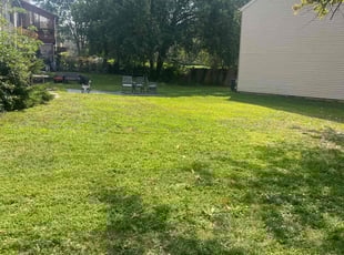 Viola N.'s lawn care services service result