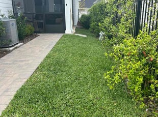 Doug S.'s lawn care service result
