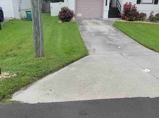 Marianne D.'s turf maintenance service result