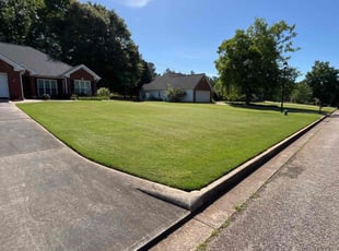 Fnu N.'s grass maintenance service result