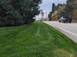 Victoria M.'s lawn service service result